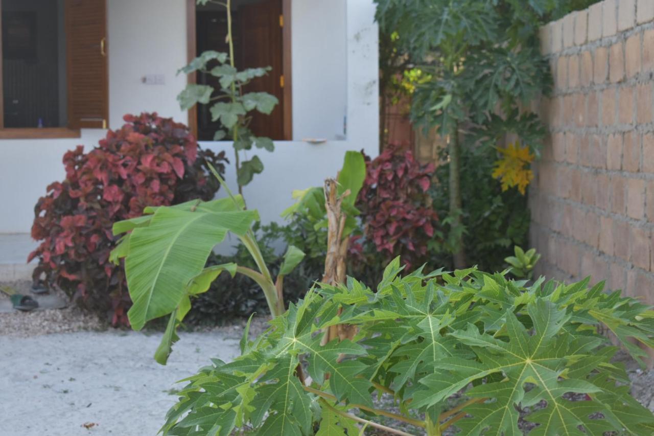 New Arisen Bungalows Bwejuu Eksteriør bilde