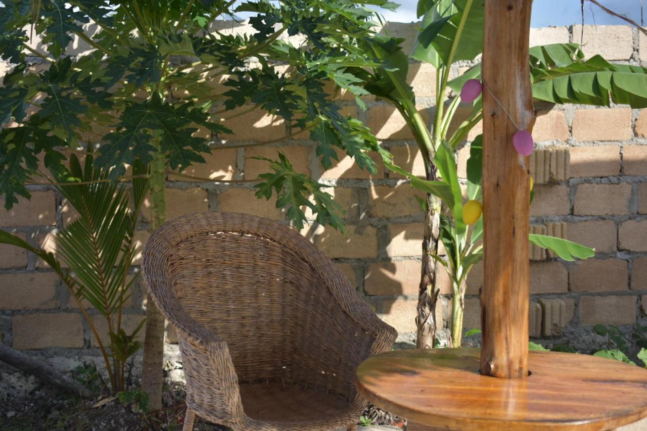 New Arisen Bungalows Bwejuu Eksteriør bilde