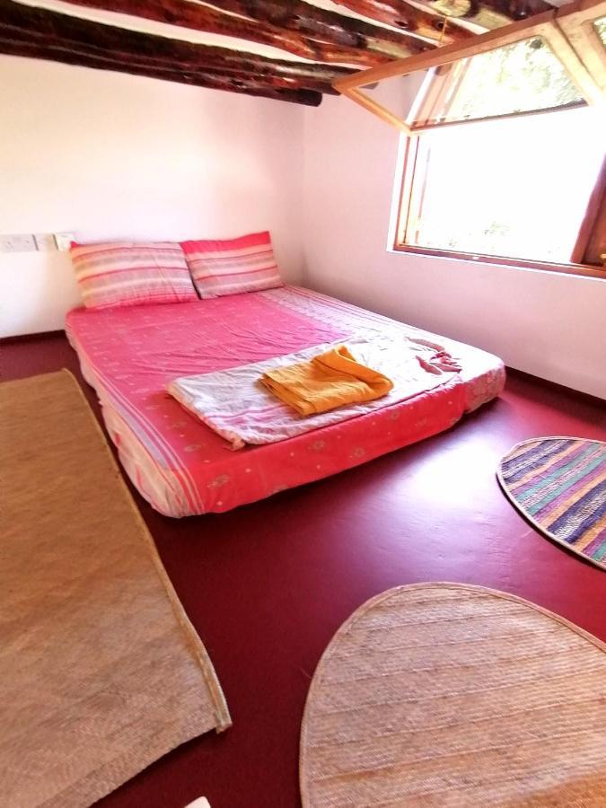 New Arisen Bungalows Bwejuu Eksteriør bilde